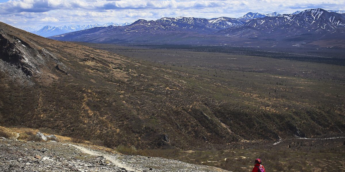 Beach vs. Mountain Vacations: An Honest Comparison