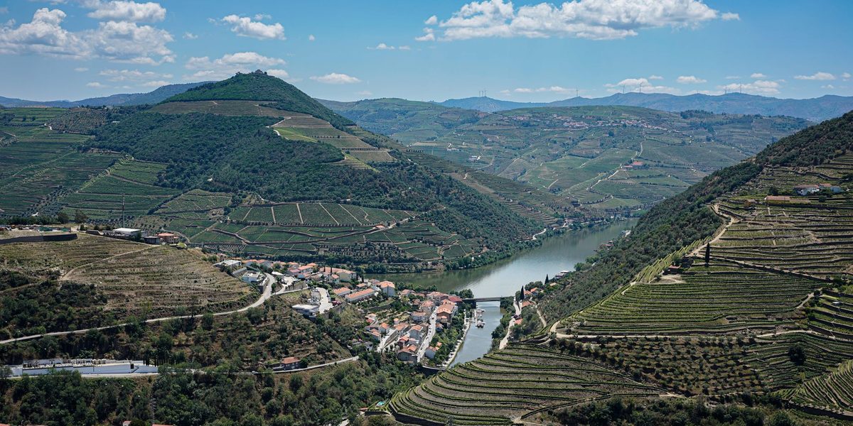 The Best Wine Regions for Casual Travelers, Ranked