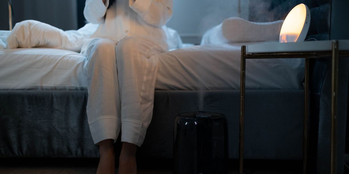Humidifiers, Dehumidifiers, and Air Purifiers: Which One Does Your Home Need?